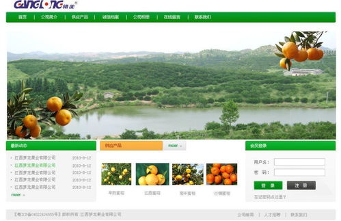 網(wǎng)站建立好卻沒(méi)有效果的緣由是什么